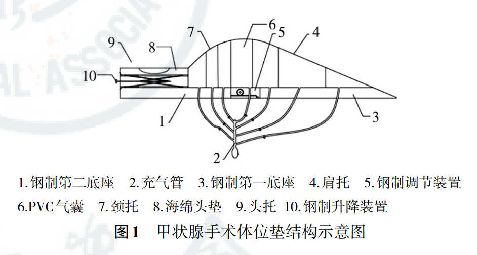 使用方法將甲狀腺手術體位墊安裝於手術床上,患者取仰臥位.