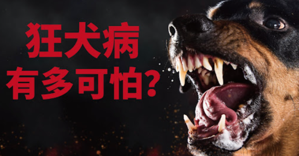 分享一个恐怖病例