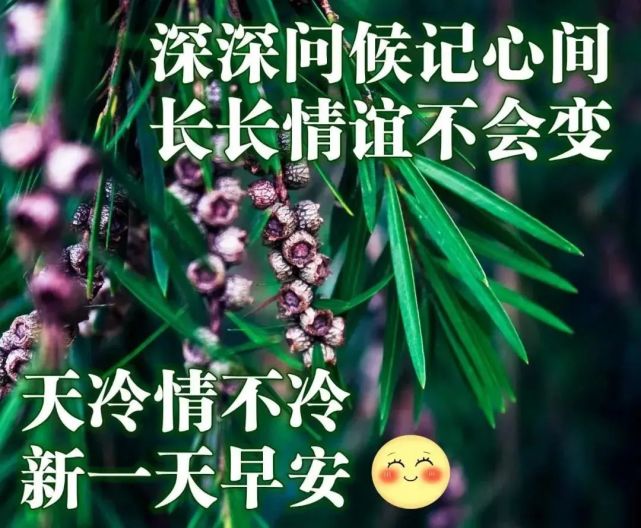 清新漂亮風景冬日早上好祝福圖片帶字溫馨,溫暖的早上好祝福語