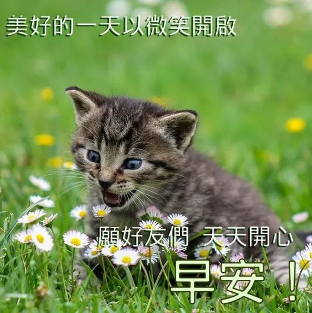 创意好看的早上好带祝福语早安祝福语动态图片表情精选
