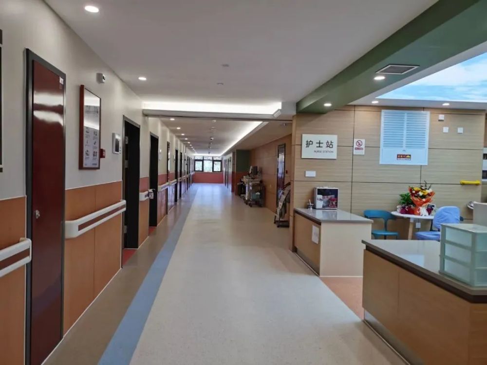 大山里的现代化医院丽水市中心医院新内科大楼投入使用