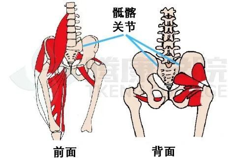 收藏髖關節常用體格檢查彙總