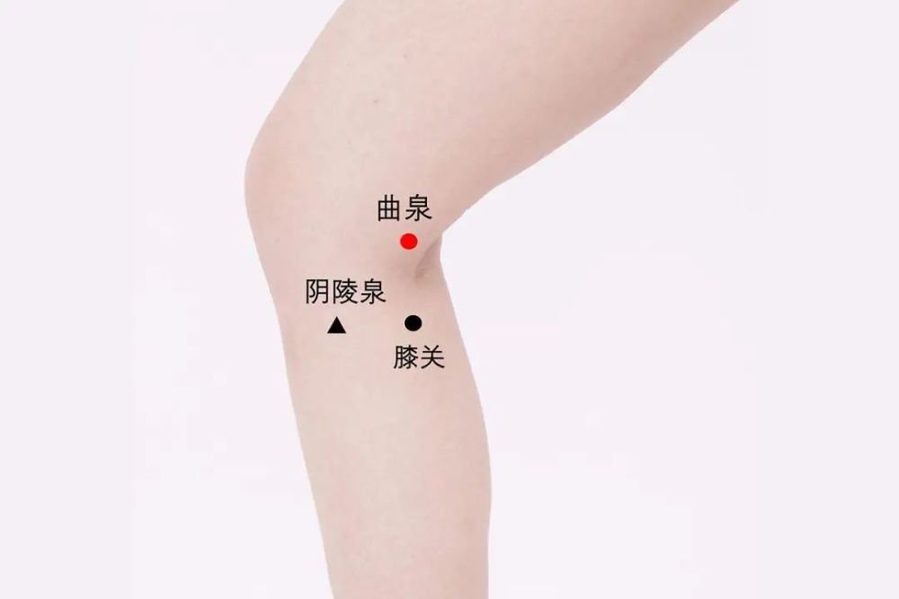 说到功效,按摩曲泉,可滋阴补肝,主治肝肾阴虚,眼睛酸涩,相当于吃了杞