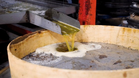 遂川人快来看榨木梓油现场诱人的体验真的太香了