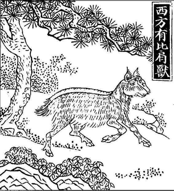 說妖解怪【神獸】之比肩獸