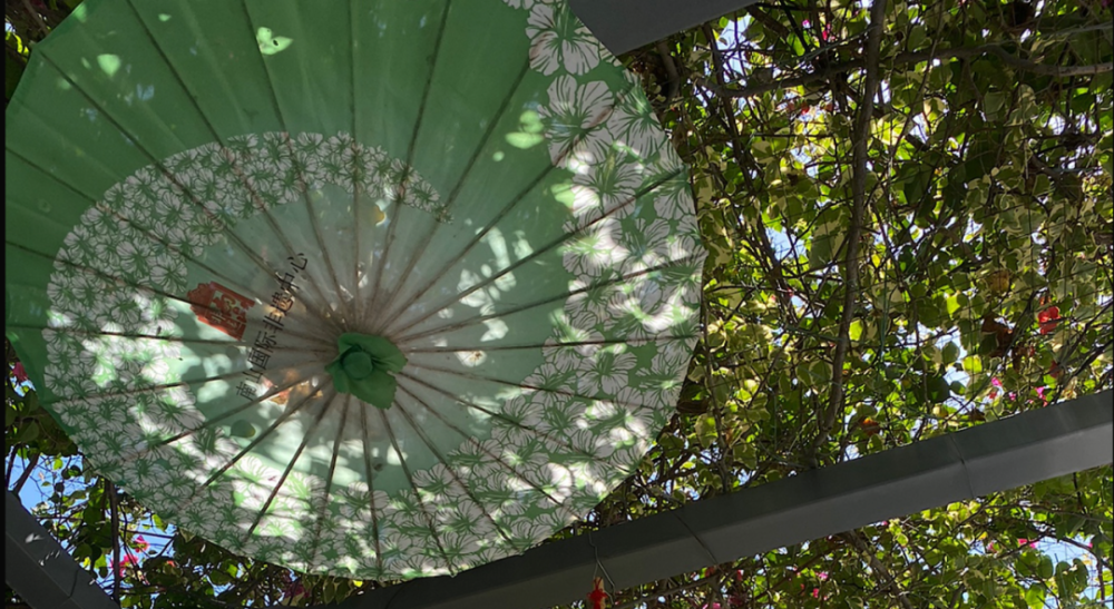 Alina私語 12月13日十二星座周 星座 Me前沿