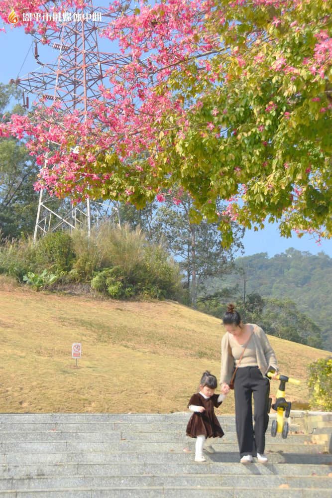 鰲峰山省級森林公園-正門廣場附近廣東鰲峰山省級森林公園-東門廣場