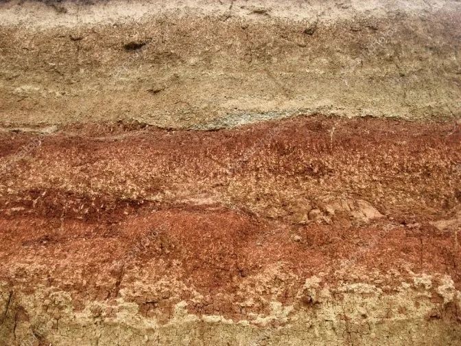 典型的古土壤层古土壤层的厚度一般比较薄,类似生日蛋糕中的奶油夹层.