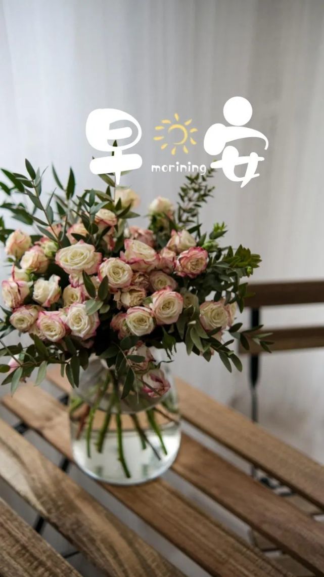 正能量问候早安语录图片