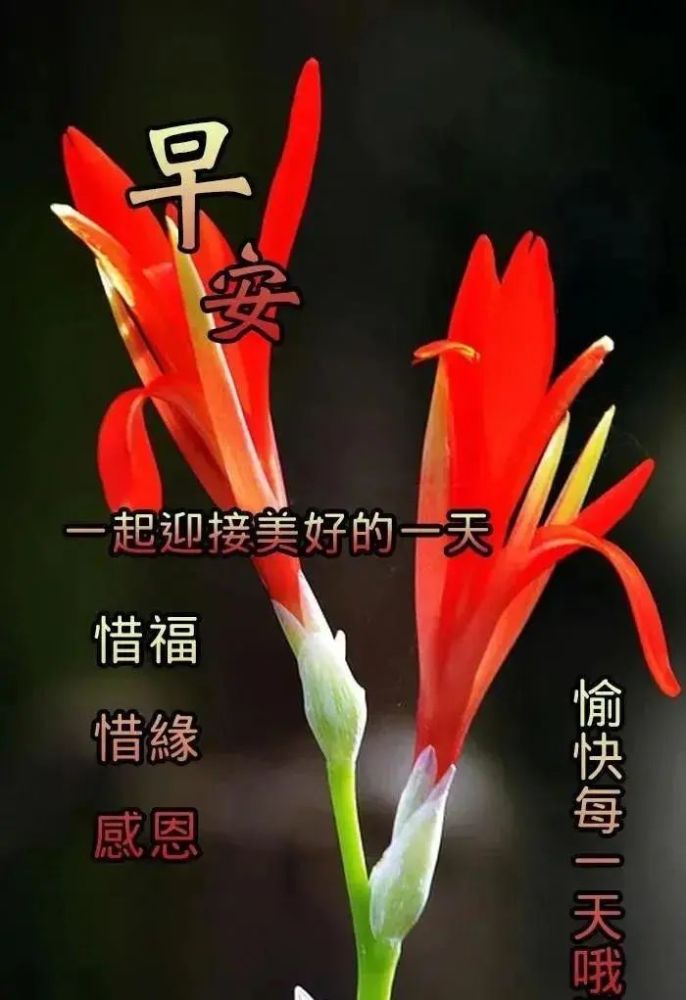 2021年12月13日清晨早上好问候祝福动态表情图片最新早安问候祝福图片