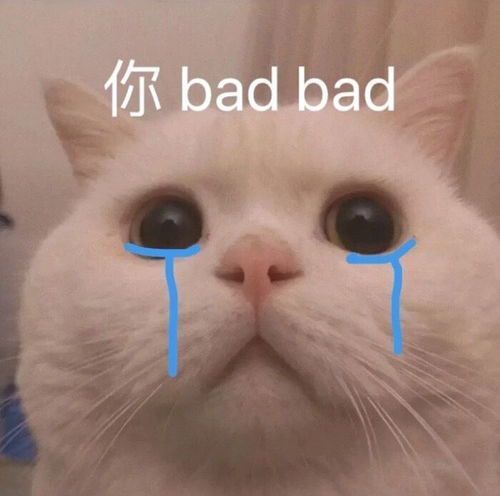 哭泣猫猫头表情包懂了