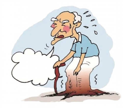 当然想,但是低头看了看自己的"老胳膊老腿",顿时叹了口气,爬楼梯都