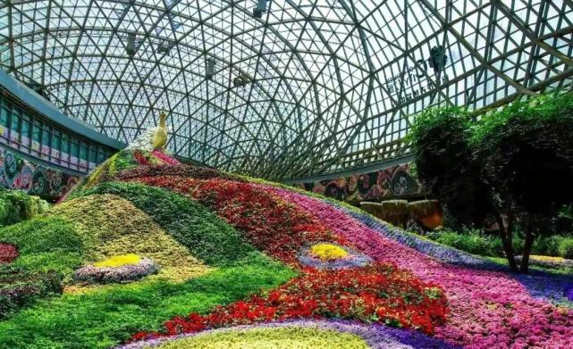 亚洲最大花卉基地一一昆明斗南花卉基地 图片来 源:网络