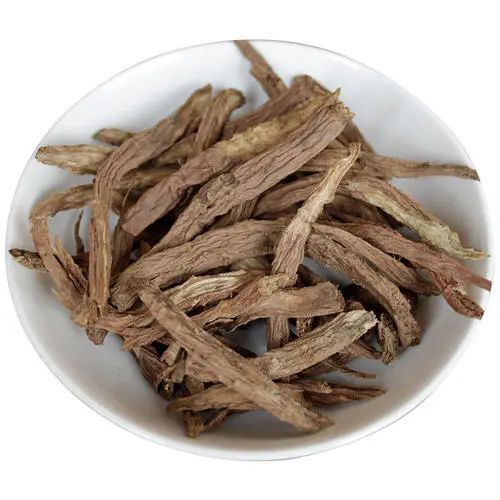 续断补肝肾强筋骨续折伤止崩漏