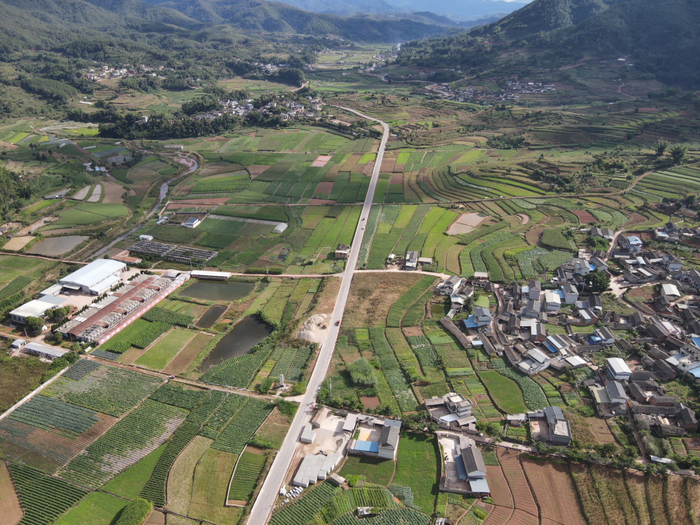 近日,笔者走进宁洱哈尼族彝族自治县勐先镇,放眼望去,成片的西葫芦
