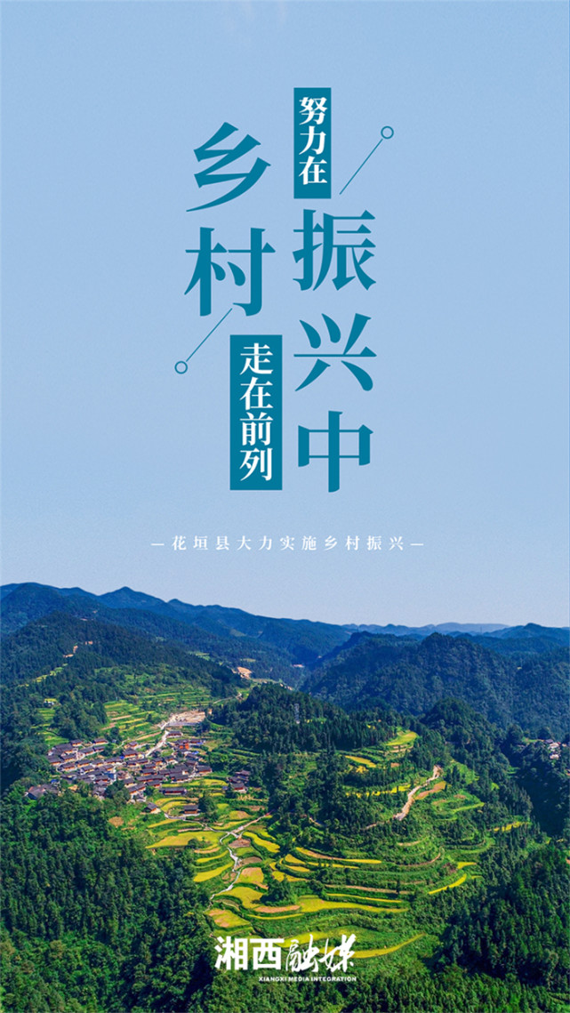 海报花垣县实施六大行动助力乡村振兴