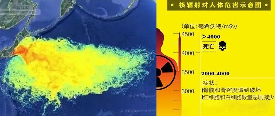 2011年福岛第一核电站事故中流入海洋的放射性物质"铯137"在抵达美国