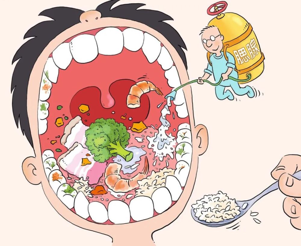 漫绘科普一顿饭的消化道之旅