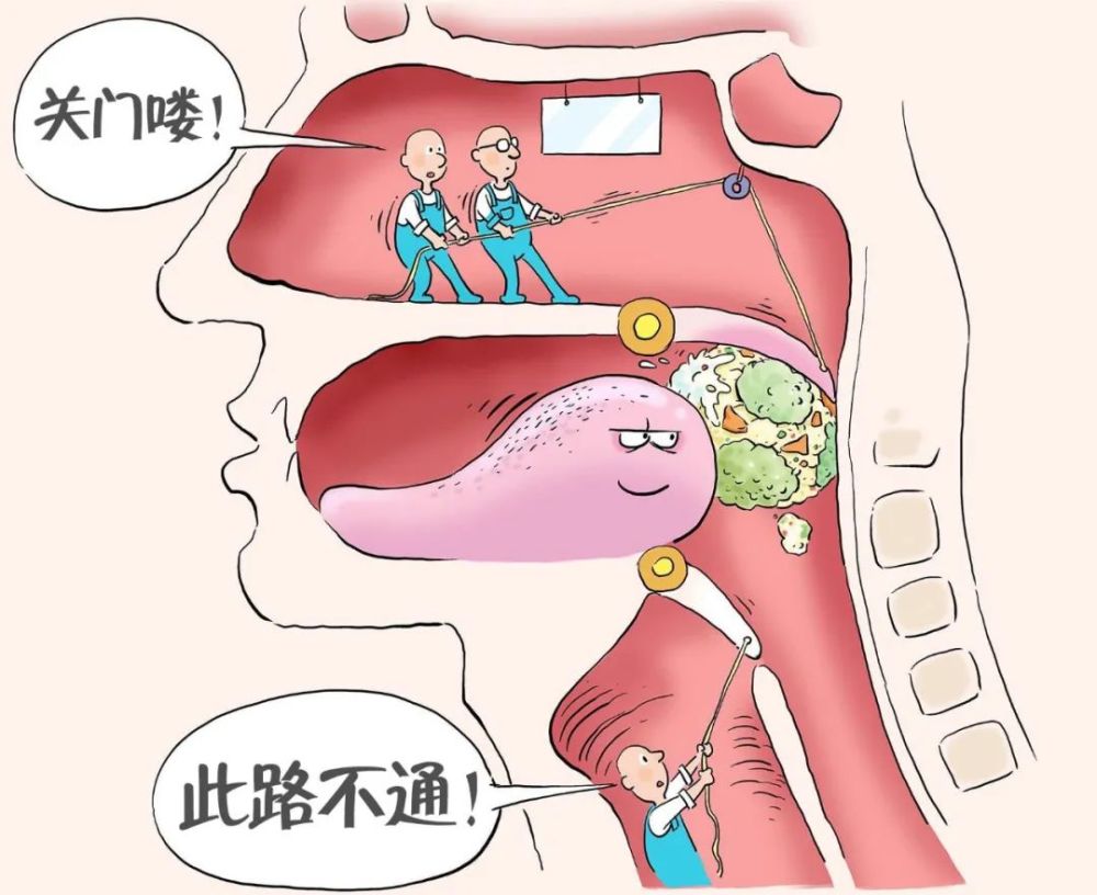 漫绘科普一顿饭的消化道之旅