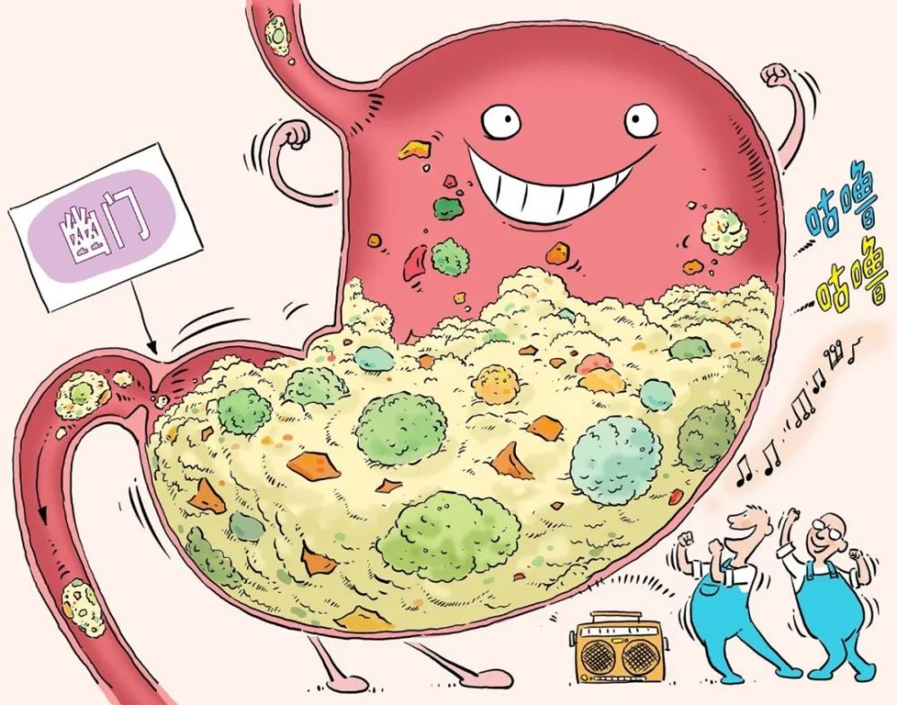 漫绘科普一顿饭的消化道之旅