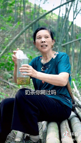 网红|潘启翠|潘姥姥|康仔|李子柒|拉面哥