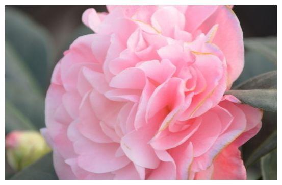 12月4日开始 3星座气运旺盛 事业有成 万事顺利 腾讯新闻