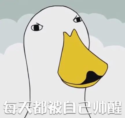 cr:kaoee白鵝 愛七鴨 青井硝子 dakeduck糯糯嘰嘰的小表情就喜歡這種