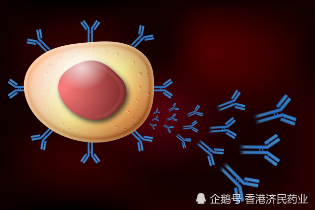 fcrn靶向單抗rozanolixizumab在全身型重症肌無力中的3期研究成功