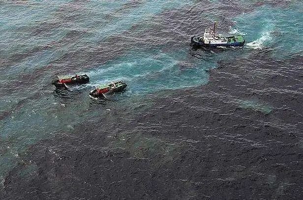 日本近海浮現大量死魚屍體,會與偷排核廢水有關?4種可能