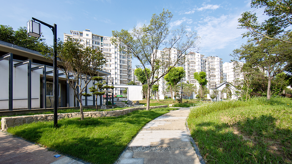 我为群众办实事新桥街道一老一小两头翘起微笑曲线