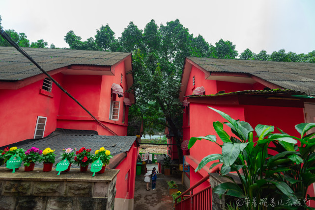 这片藏在老旧居民区的红房子,6栋24户,据说过去只有专家才能住