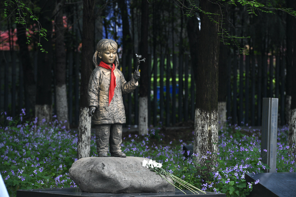 开遍南京的紫金草,它的花语是"不忘历史,珍爱和平"