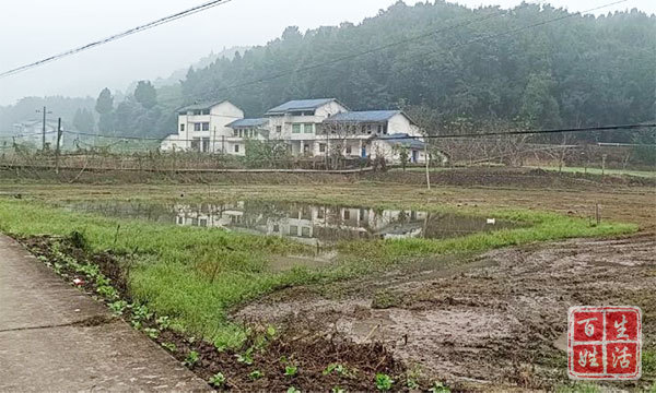 射洪市武安镇三个一全力推进撂荒地整治