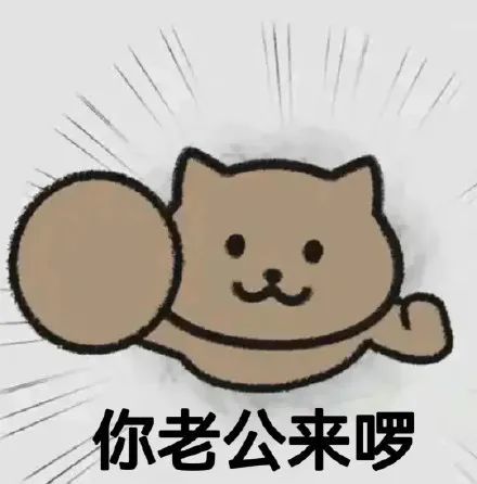 表情包你爹来咯要生活费猫猫表情包