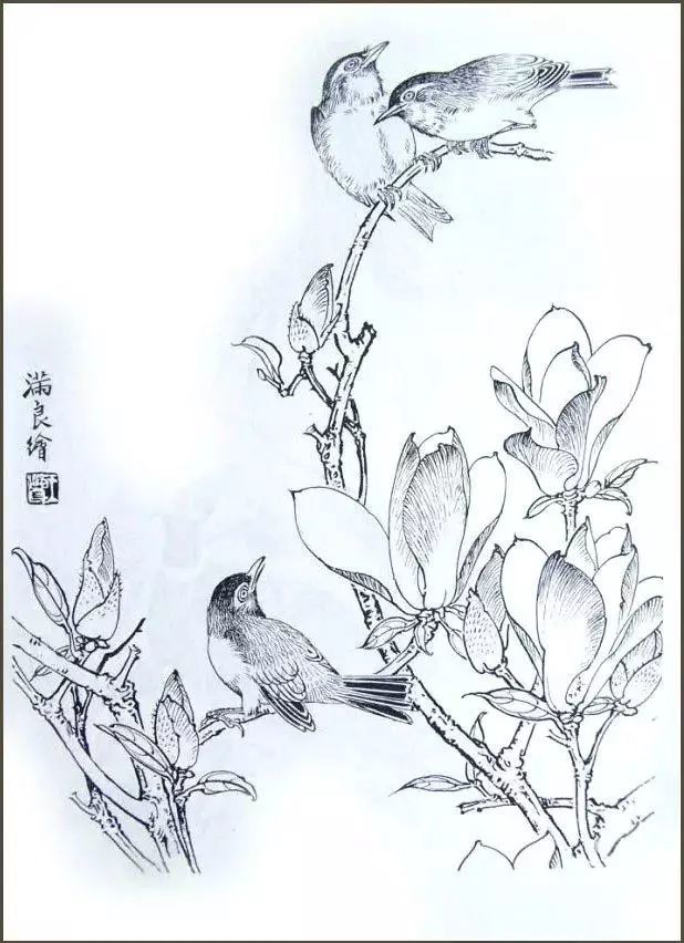 书画联盟丨 工笔花鸟白描稿