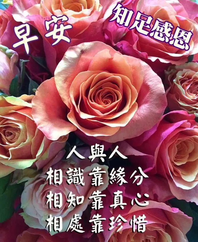 超级漂亮清晨问候祝福语图片,早晨好日常问候语录新版!_腾讯新闻