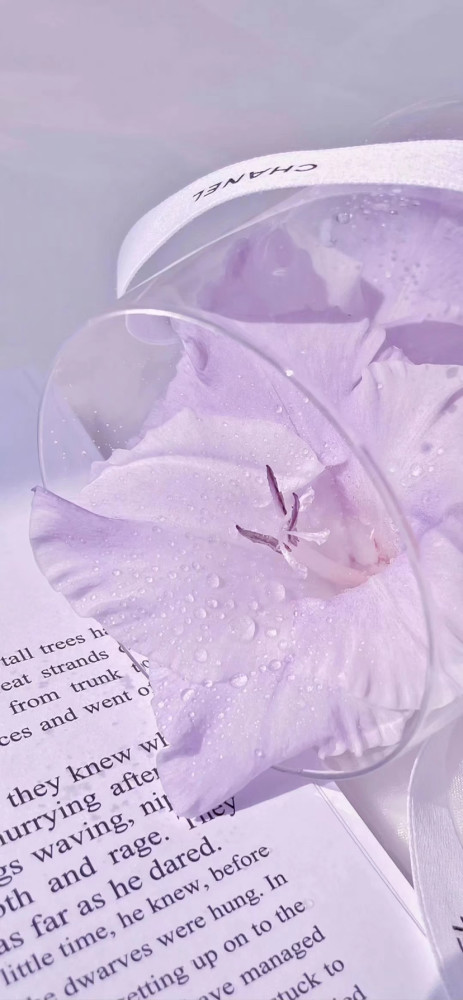 紫色系壁纸爱意东升西落梦想永怀心间