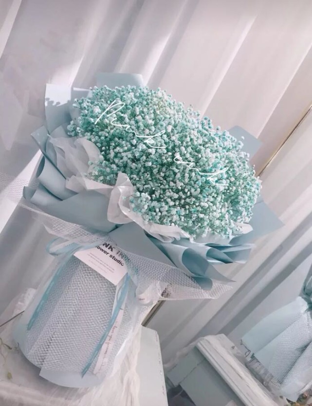 满天星背景图:我喜欢满天星,但我不想只做你的配角