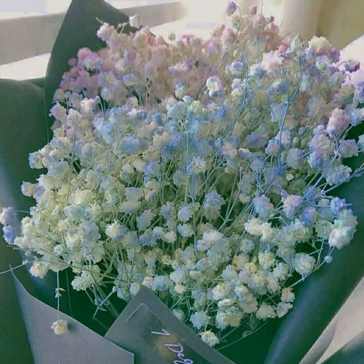 满天星的好看图片(满天星的好看图片高清蓝色)