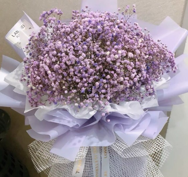 满天星背景图:我喜欢满天星,但我不想只做你的配角