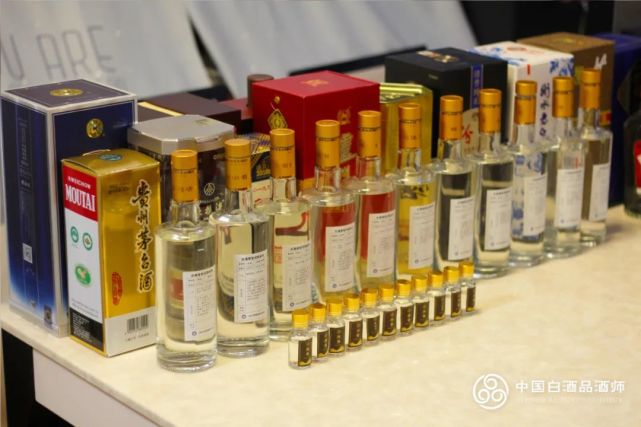 上海第三期中国白酒品酒师中级课程