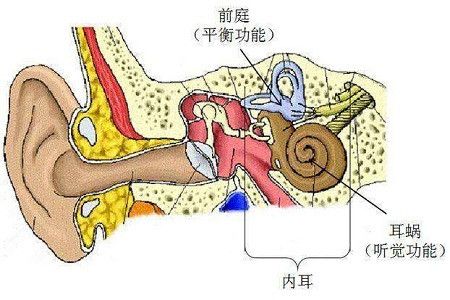 前庭性偏头痛的临床表现都有哪些