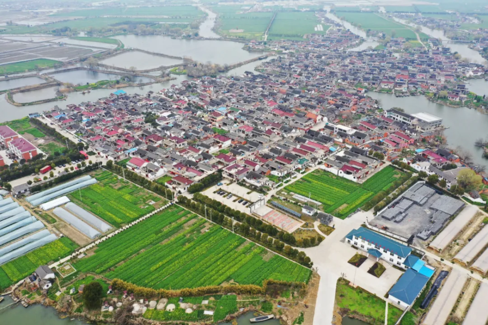 高港区白马镇陈家村凹口,海陵区城东街道唐甸村唐甸,兴化市戴窑镇