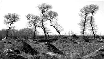 古庙比荒坟还可怕?