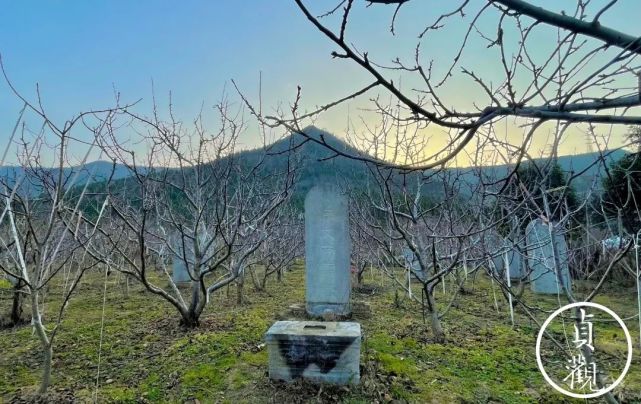 江村大墓被确定为汉文帝陵,解读真假霸陵千年悬案