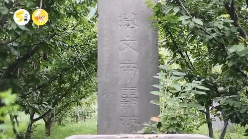 西安市白鹿原江村大墓确定为汉文帝霸陵