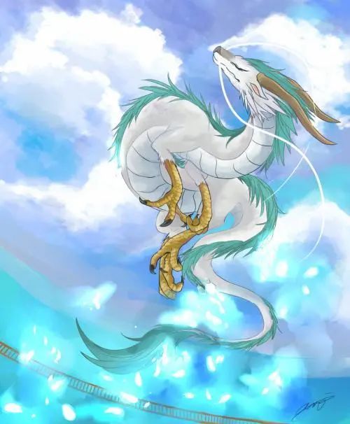 民间故事杨梅开花