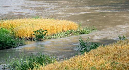 古代风水鼻祖 亲人死后不顾反对葬河边却遭人骂 数年后奇迹出现 腾讯新闻