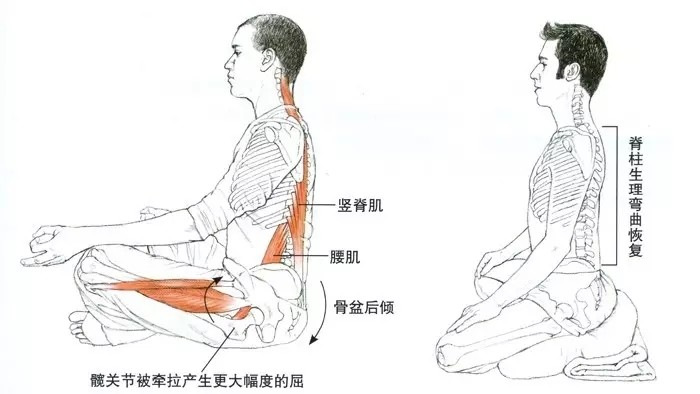 打坐冥想入门基础之坐姿篇