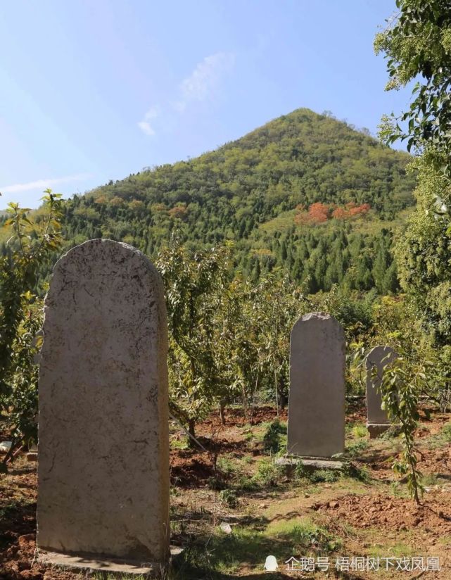 盗江村大墓一名盗墓贼的传奇故事